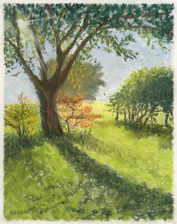 2025; 'Red &amp; Yellow'. Plein Air Pastel painting on Pastelmat, 24 x 30cm. £35 (for the original, unframed).