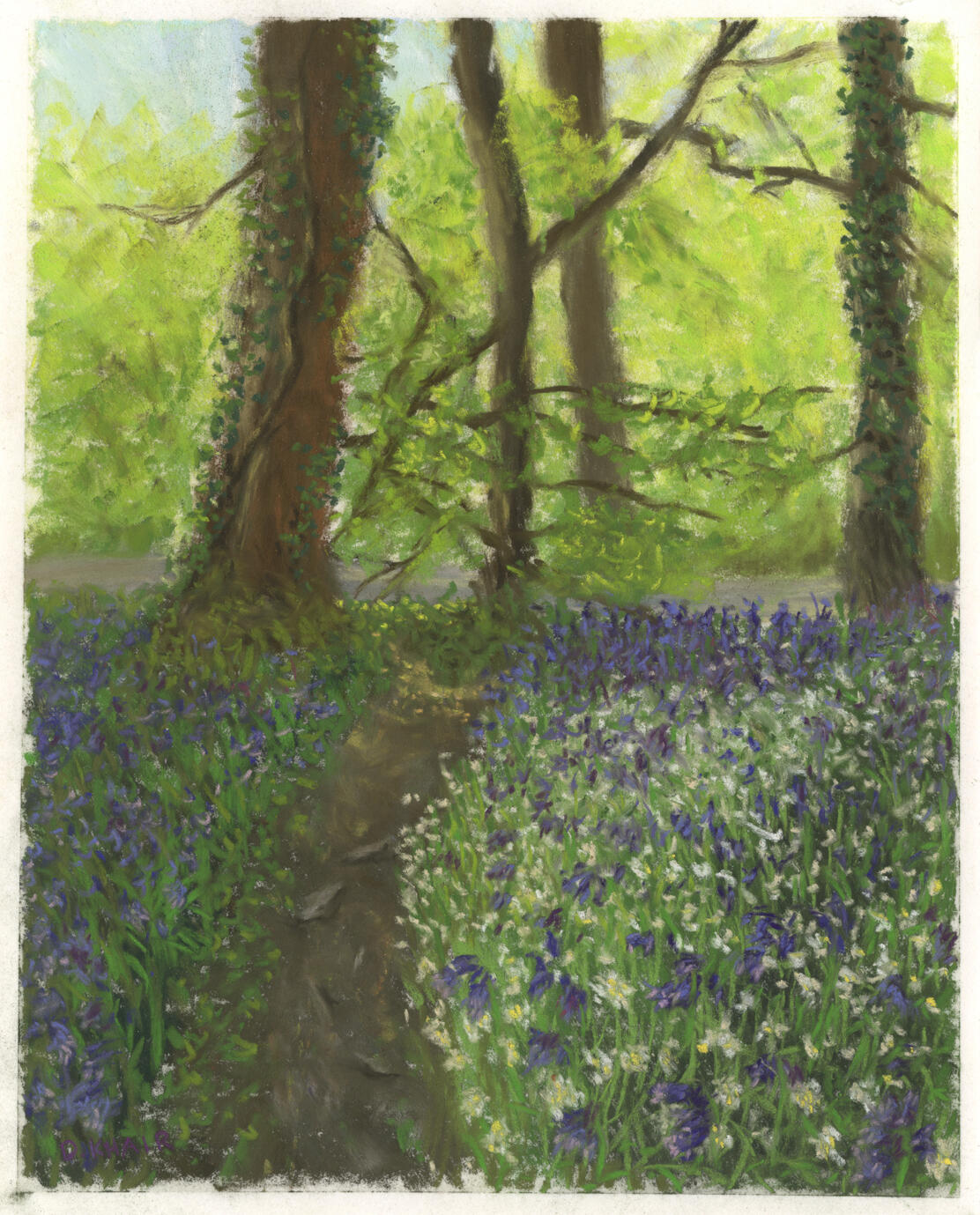 2026; 'Bluebell Den'. Plein Air Soft Pastel painting on Pastelmat, 24 x 30cm. SOLD