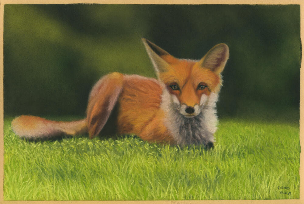 2022; Pastel on Pastelmat, 30 x 20 cm. £112 (for the original, unframed).