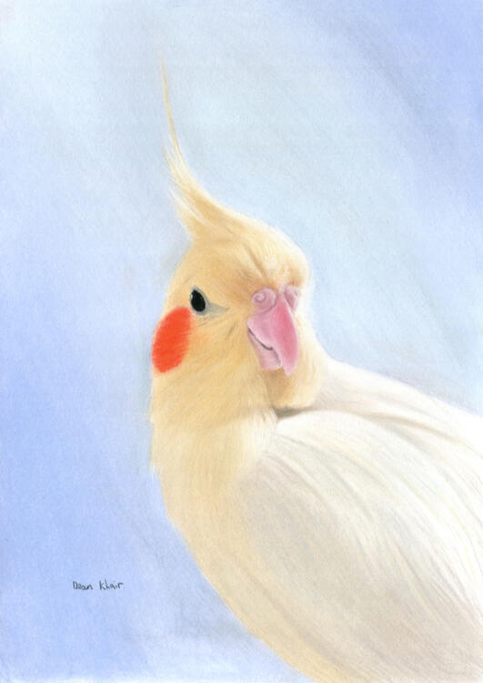 2016; Pastel on Pastelmat, 30 x 40 cm. Display Only.