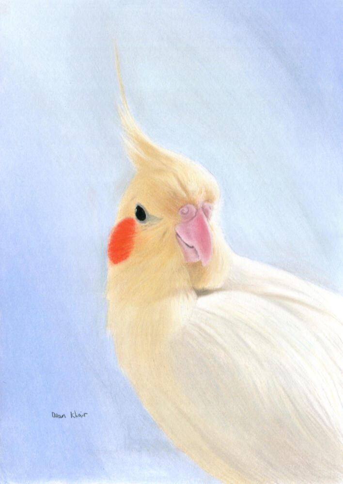 2016; Pastel on Pastelmat, 30 x 40 cm. Display Only.