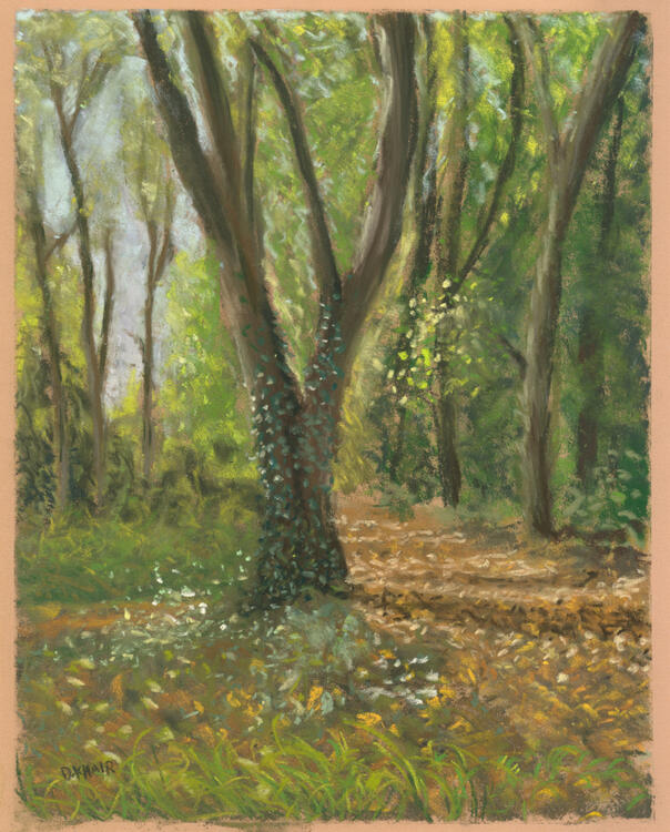 2025; 'Autumn Walk'. Plein Air Pastel painting on Pastelmat, 24 x 30cm. £30 (for the original, unframed).