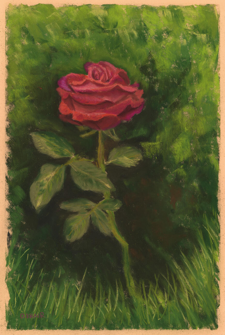 2026; 'A Single Rose'. Plein Air Soft Pastel painting on Pastelmat, 24 x 30cm. £30 (for the original, unframed).