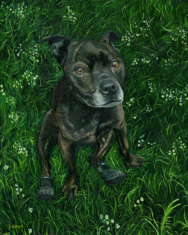 2025; Oil painting on linen canvas, 40 x 50 cm.